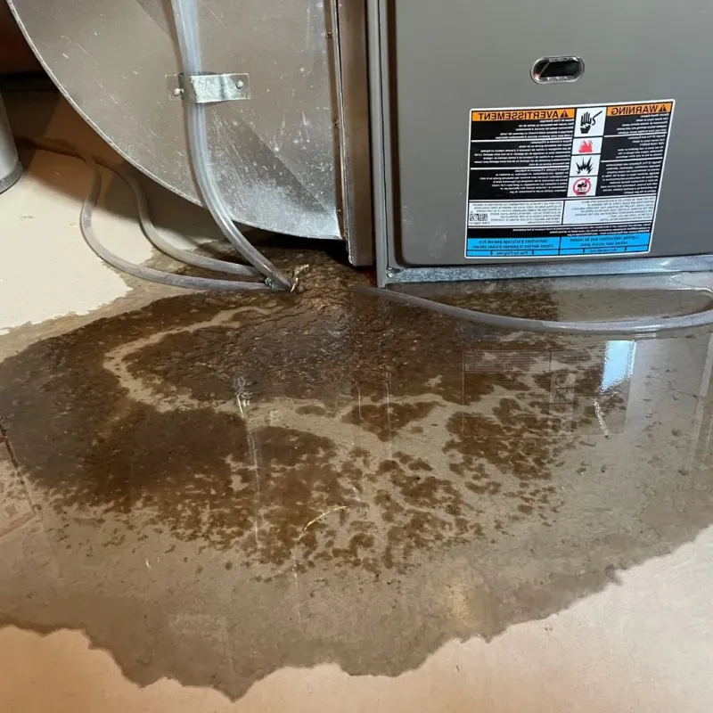 Pipe Burst and Leak Restoration in Colonial Beach, VA